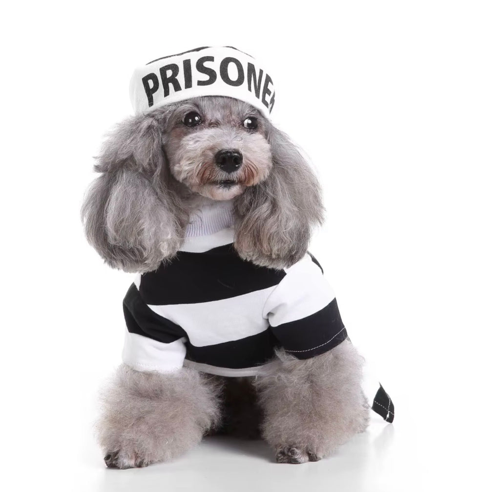 Prisoner Pet Costume