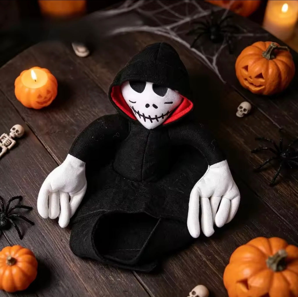 Riding Ghost Halloween Pet Costume