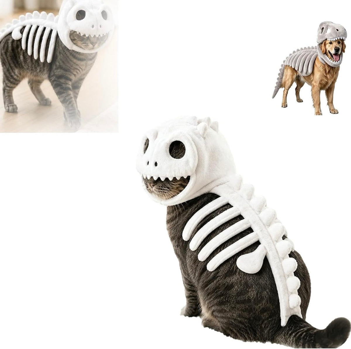 GLOW-IN-DARK Dinosaur Skeleton Pet Costume
