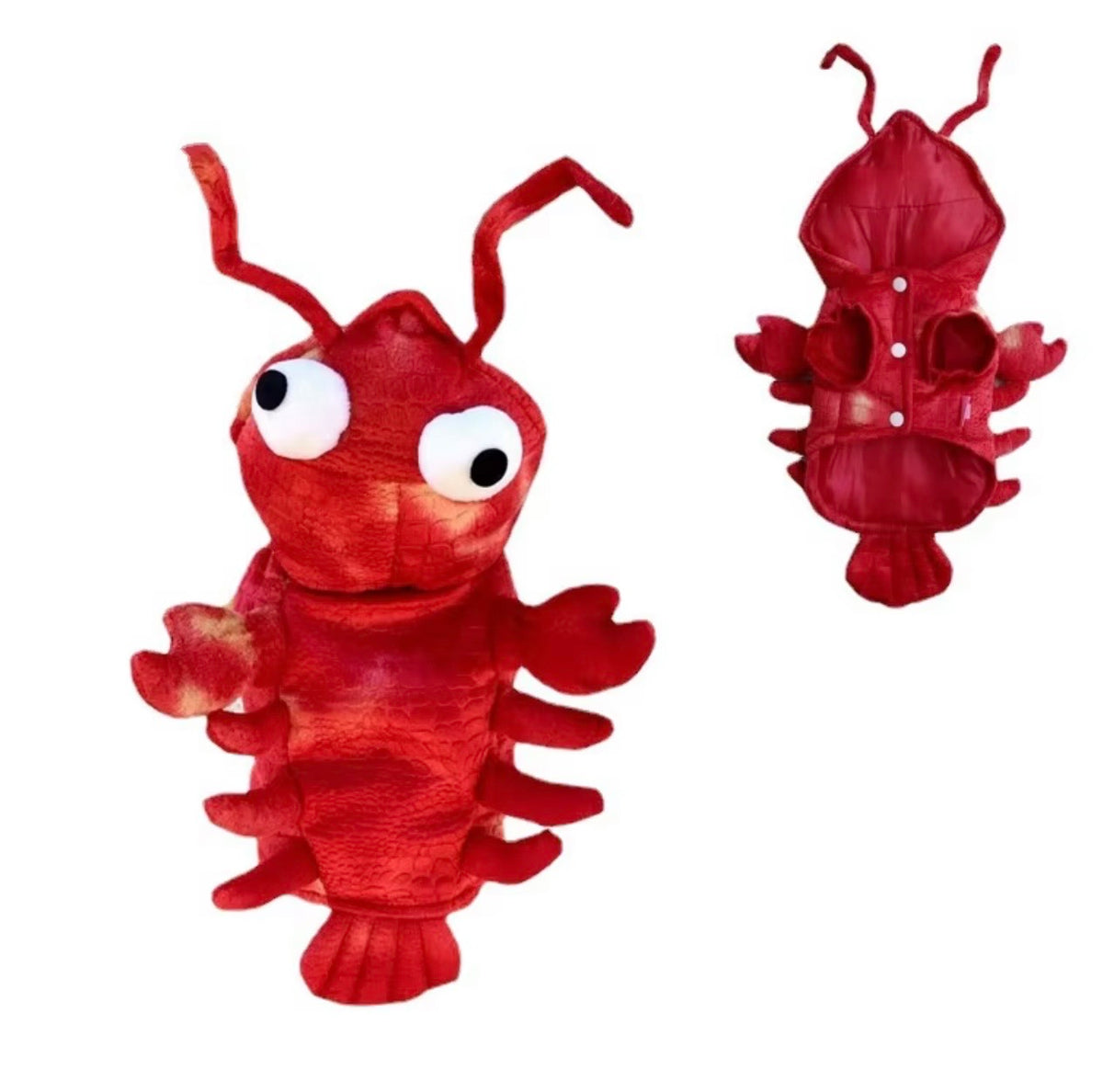 Under The Sea Pet Halloween Costume
