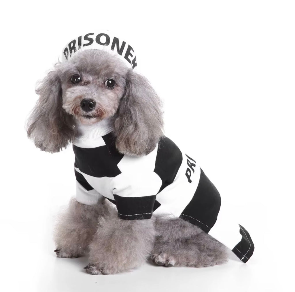 Prisoner Pet Costume