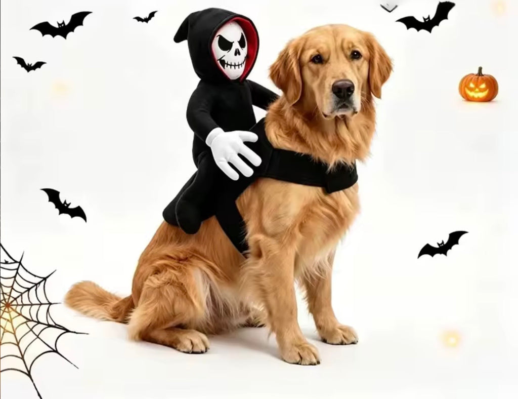 Riding Ghost Halloween Pet Costume