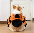 Orange Spider Halloween Pet Costume