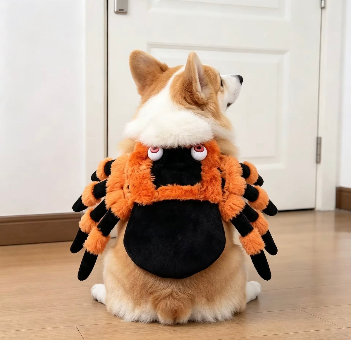 Orange Spider Halloween Pet Costume