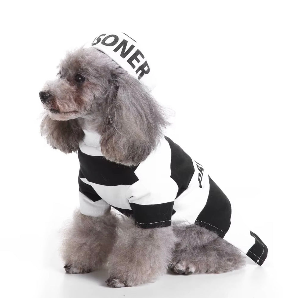 Prisoner Pet Costume