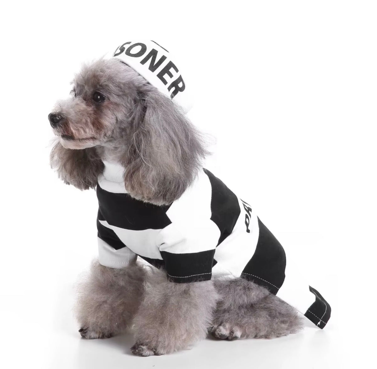 Prisoner Pet Costume