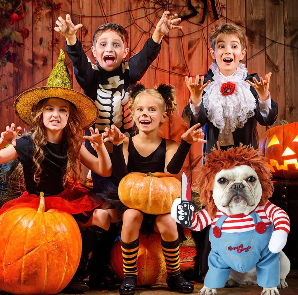 Funny Halloween Killer Pet Costume