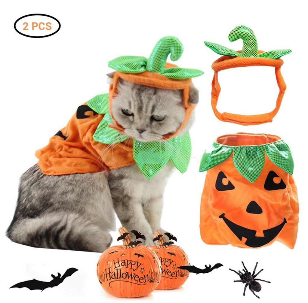 Pumpkin Cat Halloween Costume