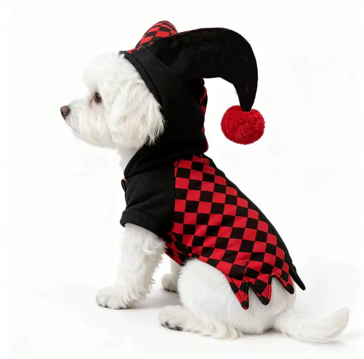 Jester Halloween Pet Costume