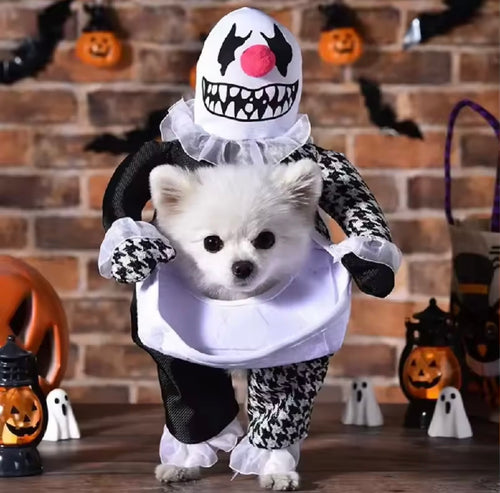 Demon Clown Pet Costume