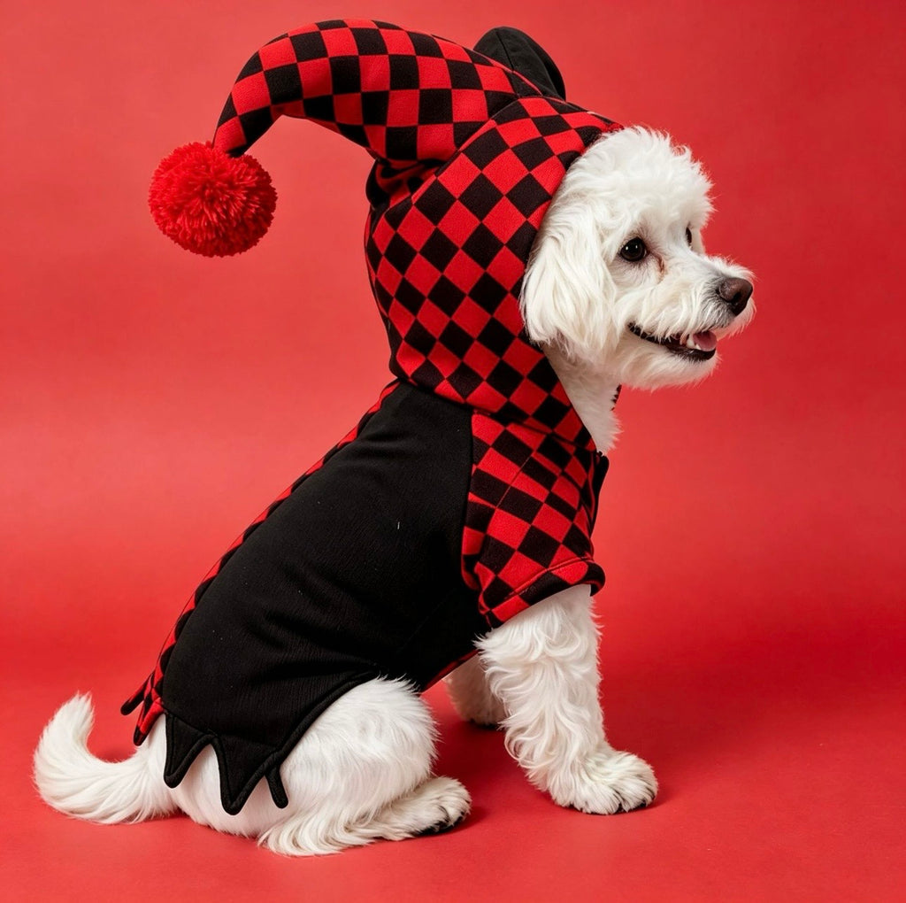 Jester Halloween Pet Costume