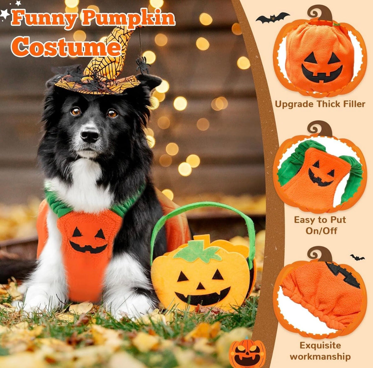Pumpkin Pet Halloween Costume