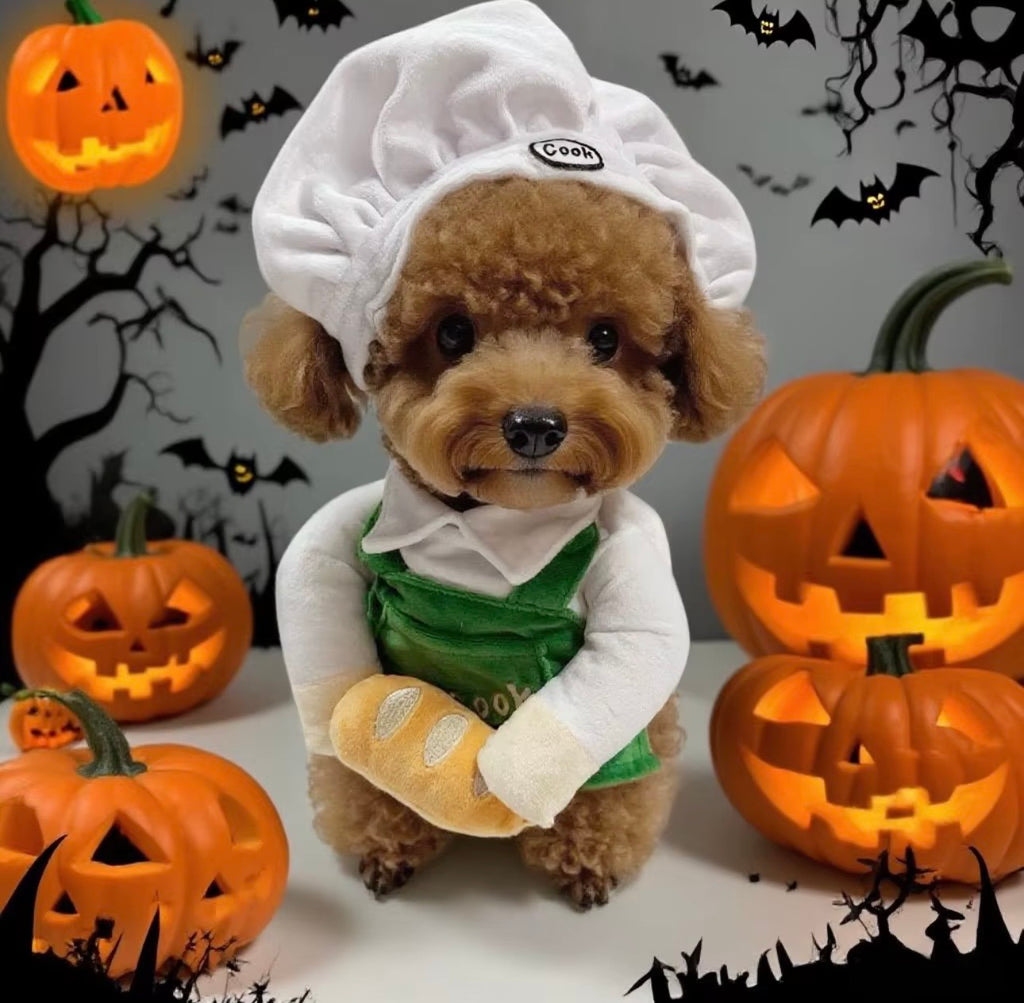 Pet Chef Costume Funny Style Universal Fit